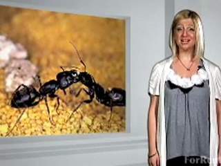 Reasons to Find a New Apartment - ForRent.com