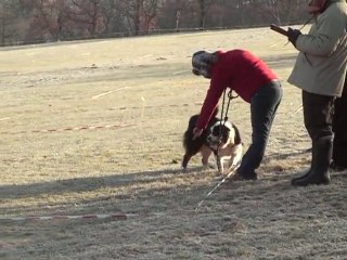 p'tbou cavage la roziere