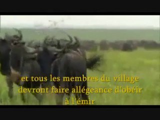 Le Village Musulman - Sheikh Imran Hosein Pt. 5