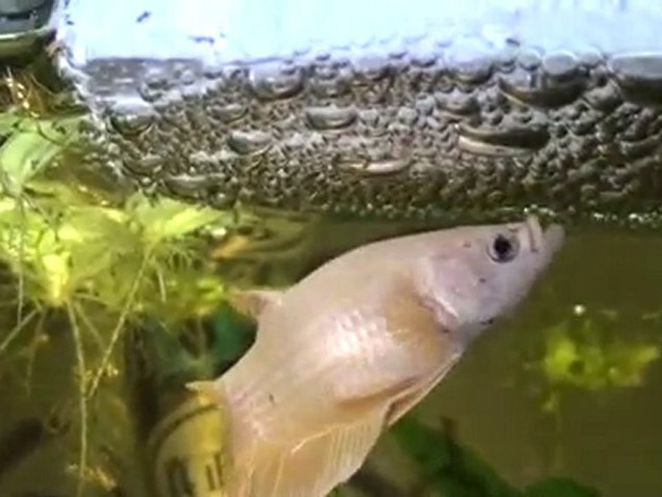 20110111014352