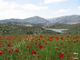 GencekTen Görünüm