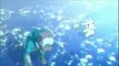 Pokemon Best Wishes Fandub Episode One Trailer