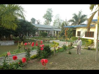 Nepal Jungle Safari - Jungle Safari in Nepal
