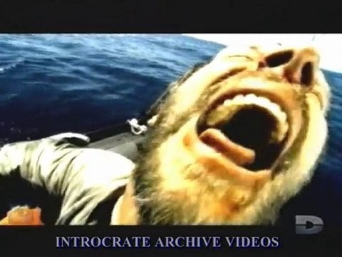 Les Rescapés, Survivre au milieu des requins - 2 de 3