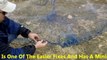 How To Repair A Cast Net - *Catfishing* - Learn To ...