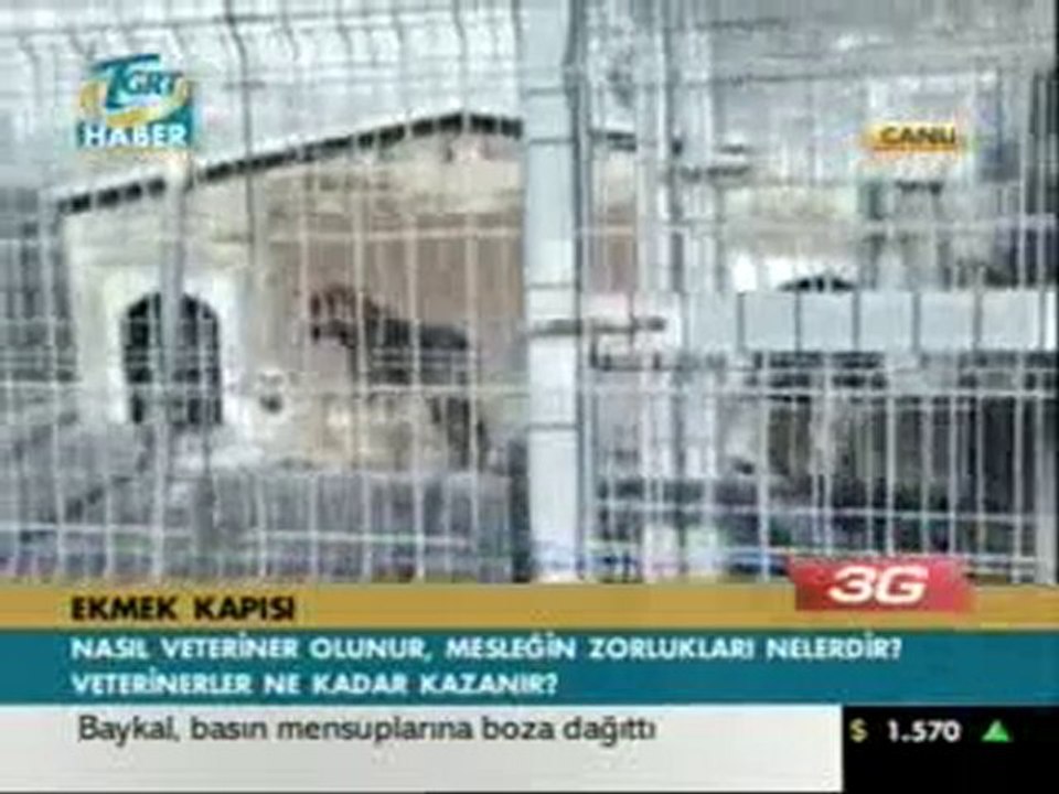 TGRT HABER - BEYLİKDÜZÜ HAYVAN REHABİLİTASYON MEREKEZİ