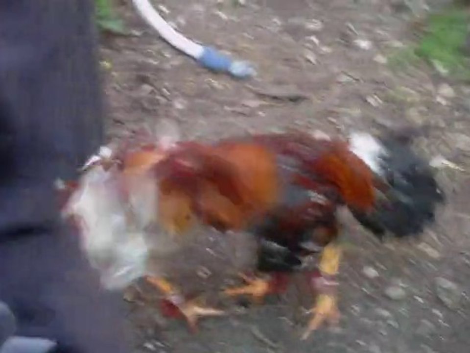 IMAG0025