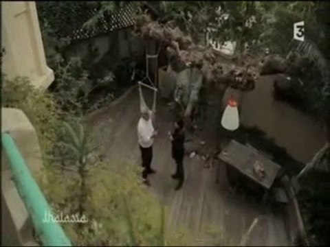 Thalassa et Les Toiles du Large: sacs en voiles recylée