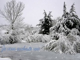 Carte_de_voeux_GUIOT Timothée