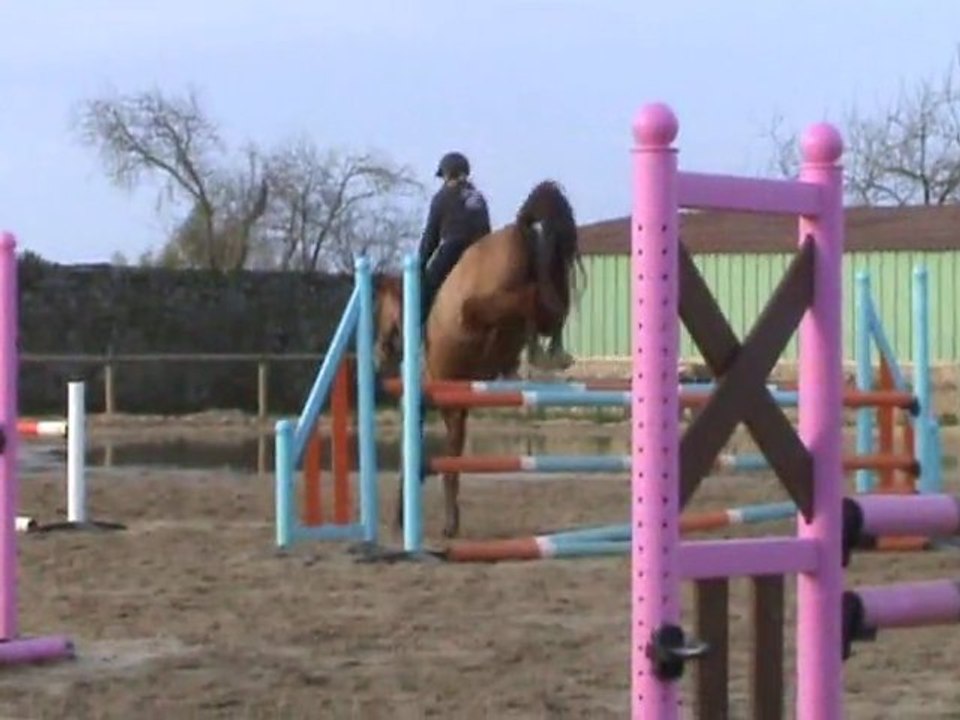Caro3
