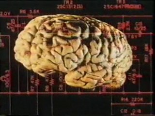 El cerebro: Una computadora perfecta
