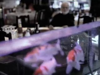 Pedigree "what would be the world without dogs"