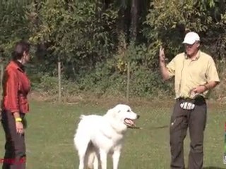 Renforcer son attachement : contrarier Elios