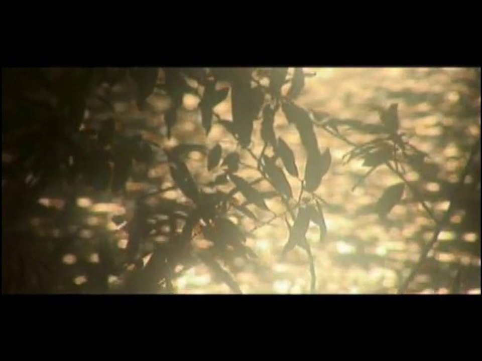 MUTLULUK - HAPPYNESS - HAPPINESS