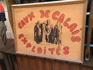 Calaisis TV : Le mag info du Mardi 25 Janvier