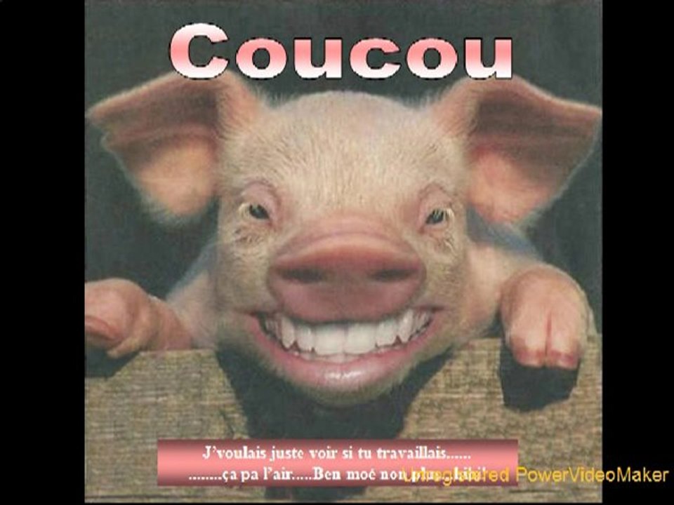 Je voulais juste vous voir et vous faire-01-25-16-31_mpg