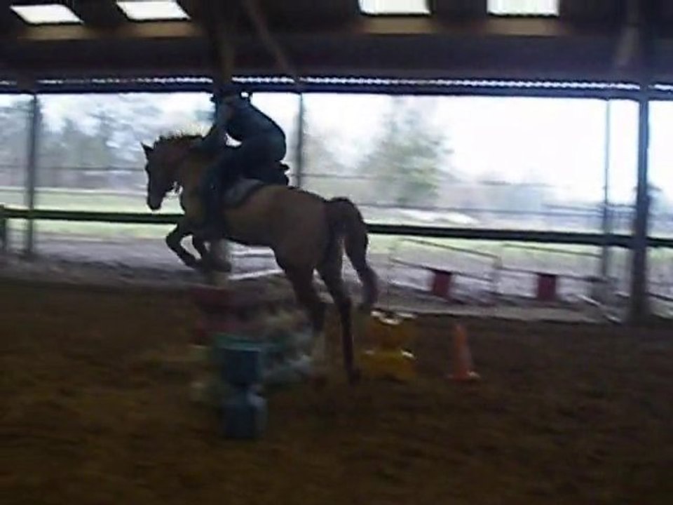 Fidji et moi saut