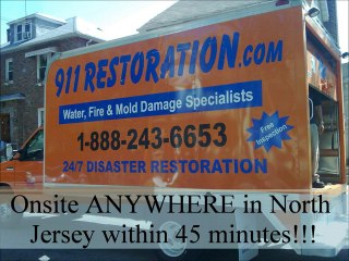 Mold Removal Newark - Call (888) 243-6653