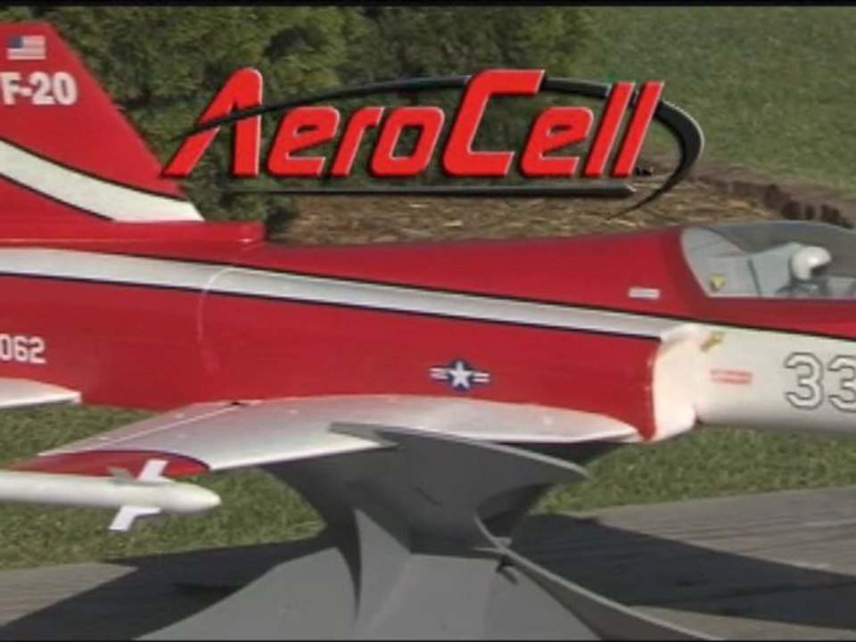 ElectriFly® F-20 Tigershark EDF Jet Rx-R™ by Great Planes®