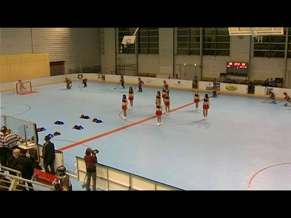 Roller Hockey  Grenoble/Caen du samedi 22 Janvier 2011 1/2