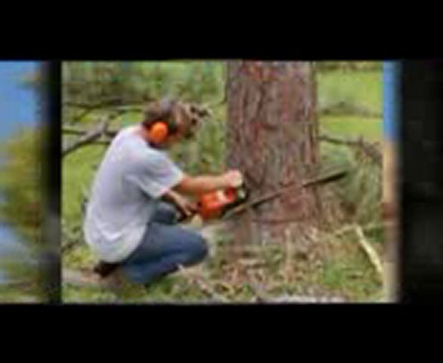 St Louis Tree Service