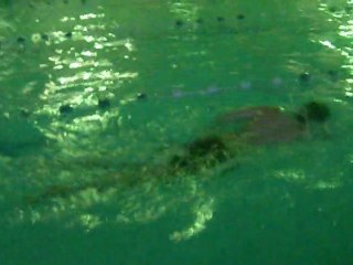Swimming Front Crawl