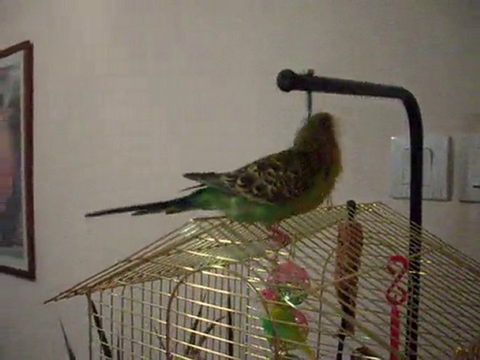 Oğluş aşka geldi :))