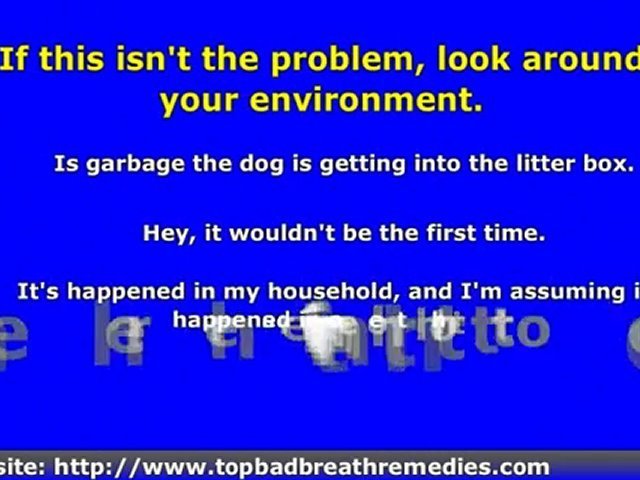 Bad Breath in Dogs - Causes, Prevention Tips, and Treatment