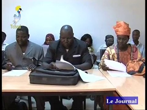 DERNIER JT FRANCAIS DU 25/01/2011 TCHADONLINE.TV