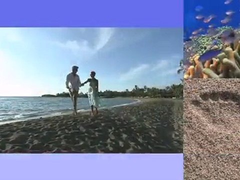 Waikoloa Beach Marriott Resort Video Tour