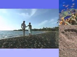 Waikoloa Beach Marriott Resort Video Tour