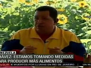 Nace Misión AgroVenezuela para garantizar seguridad y soberanía alimentaria del país