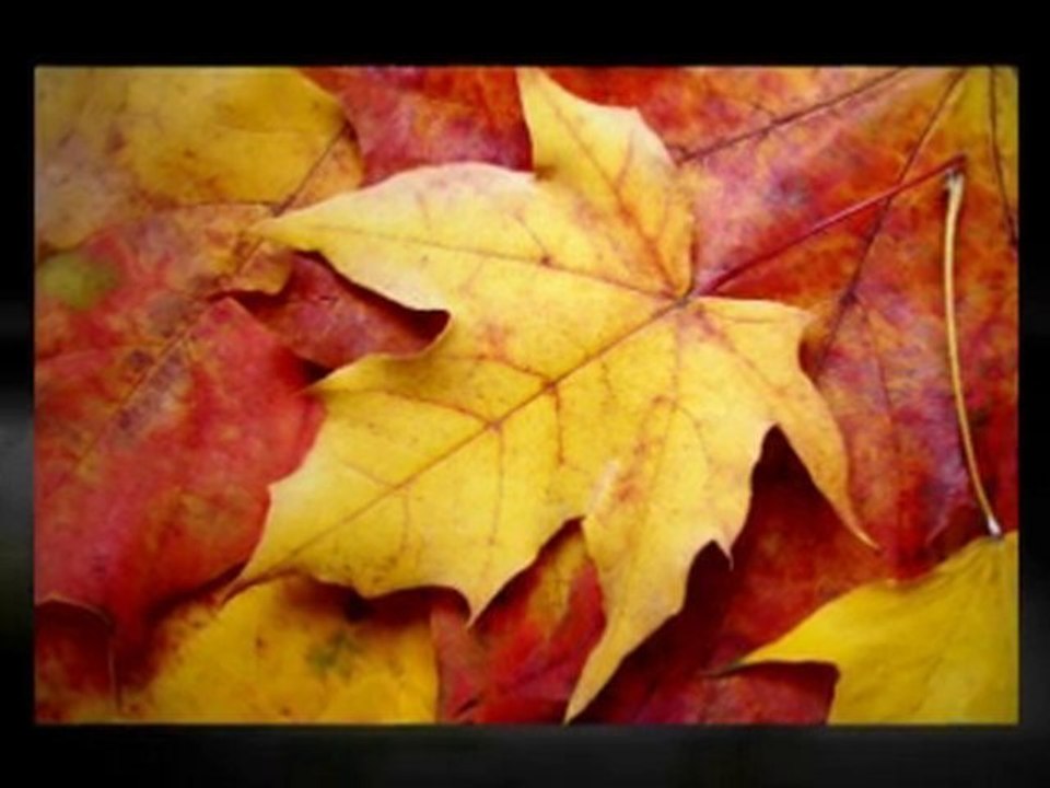 Business Advertising, Facebook Fan Pages