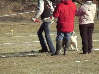 daya cavage la roziere