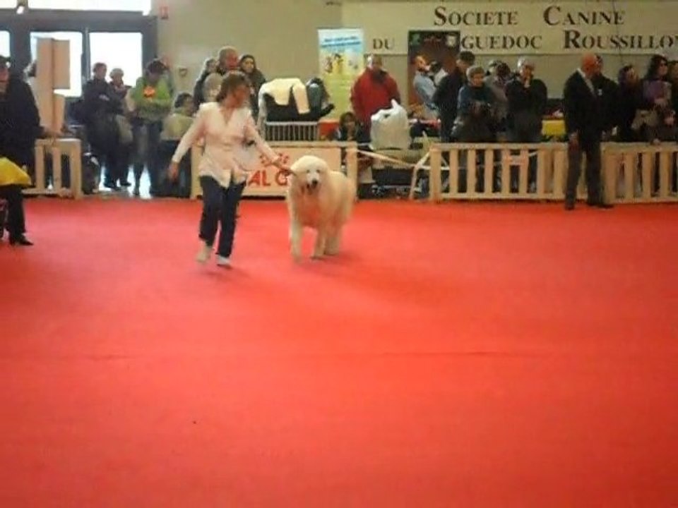 Elevage de la Vallée du Girou (BIS Beziers)