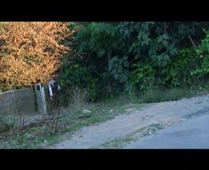 Koma Rojin   Lo Kirivo
