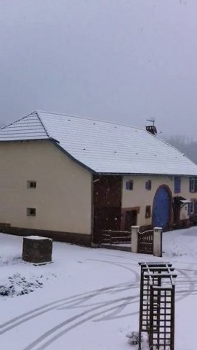 Neige