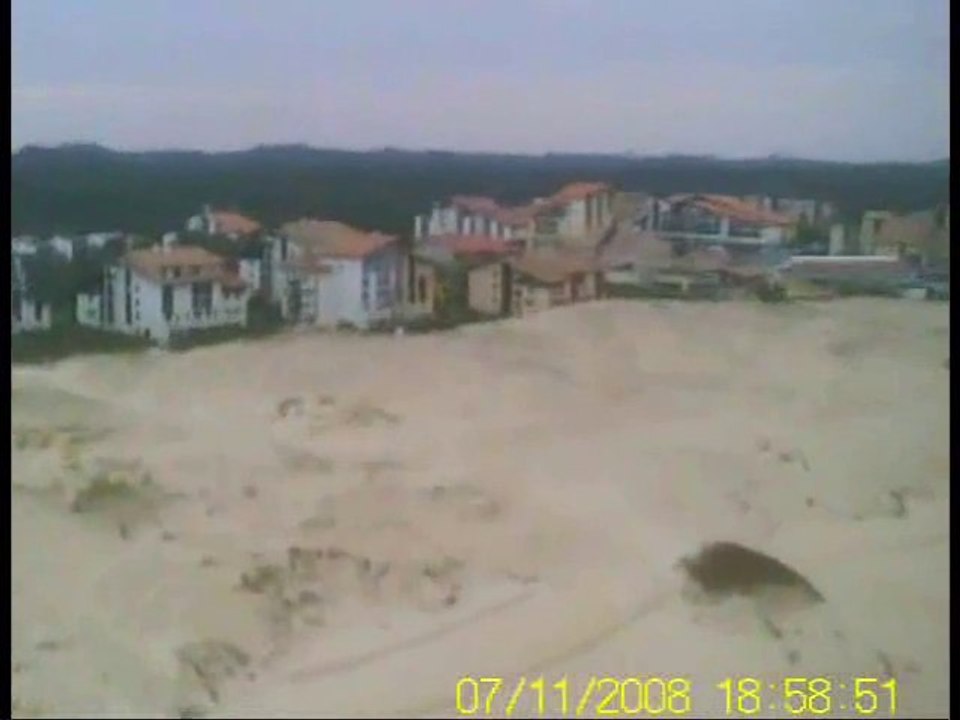 toro sur Seignosse plage