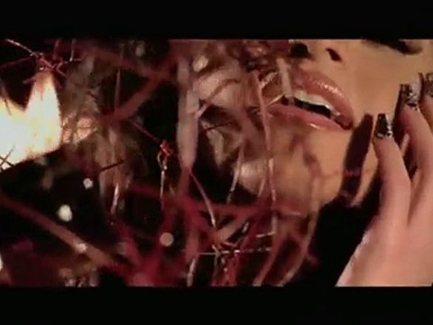 Nadia Ali - Rapture (Avicii Remix) (video+download)