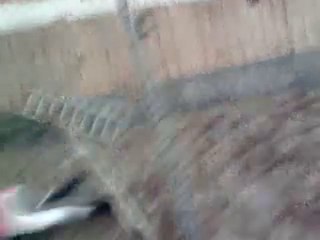 C.S.O a pied, et chute d'emma