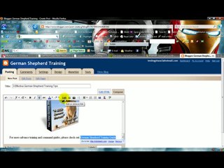 How To Set Up An Affiliate Page Using Blogger