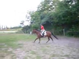 28 Juin 2010_ Départ au galop Founty.