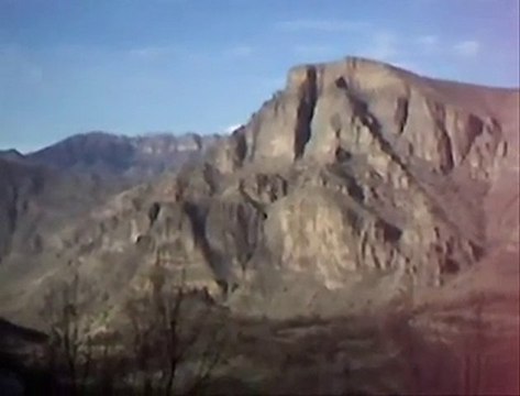 koma denge cıwan (KDC) xezal