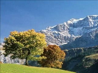 Arkadaşım Badem Ağacı