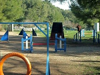 nles photos 033