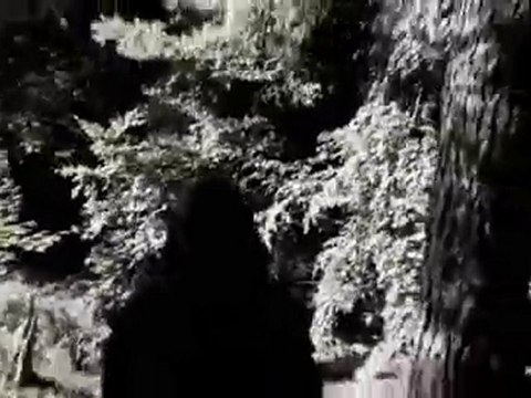 Agonoize - Bis Das Blut Gefriert