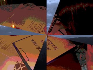 ŞİİR ÜŞÜYOR  (Ayşe DURAN)