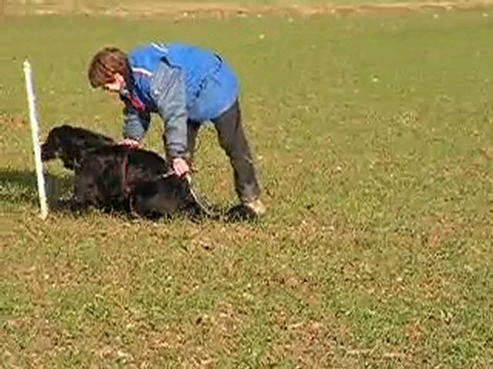 Piste en trait Boann 19.01.11