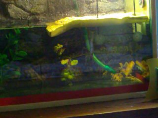 margaux et le thermometre 2