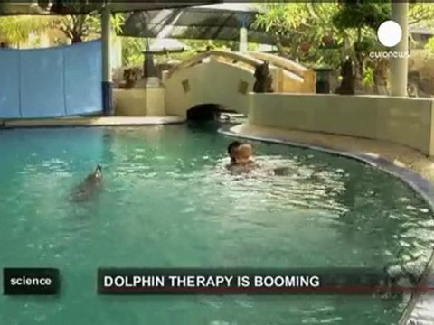 Blindfolded dolphins can see, says new study